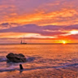 Meet your Posher, Belvia